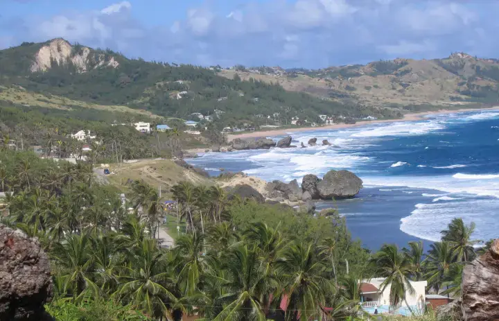 Palm trees, boulders and Atlantic surf on the Bathsheba coast, Barbados