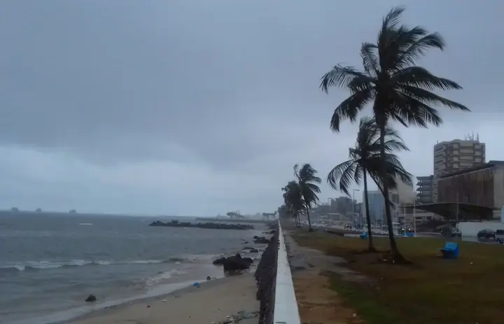 Palm trees and the waterfront promenade in Libreville, Gabon, beneath an overcast sky