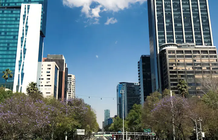 Moderne torens en bloeiende straatbomen boven het verkeer in Mexico-Stad