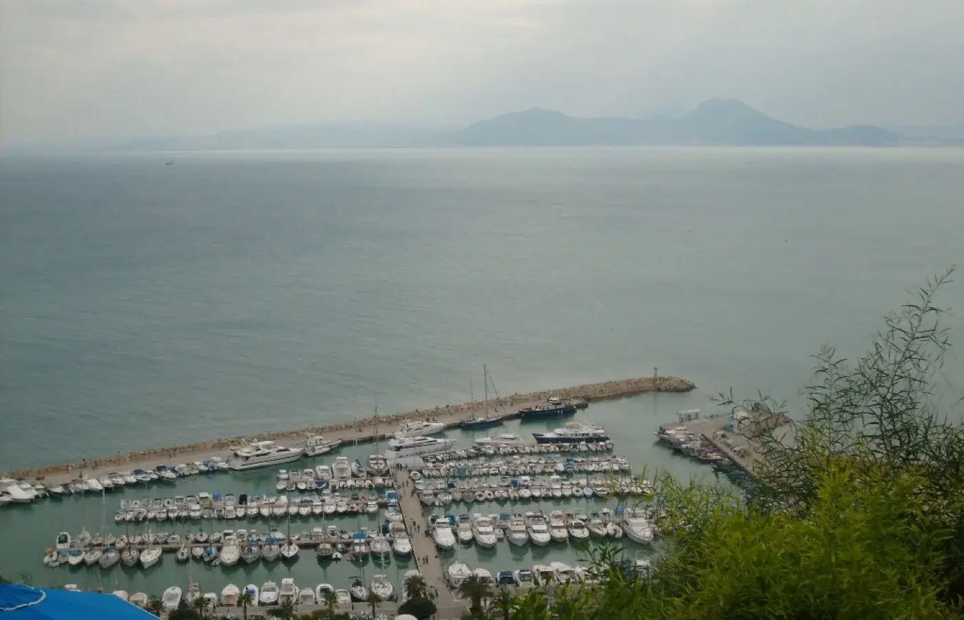 Il porto turistico di Sidi Bou Said sul Golfo di Tunisi, con il Monte Bou Kornine in lontananza.