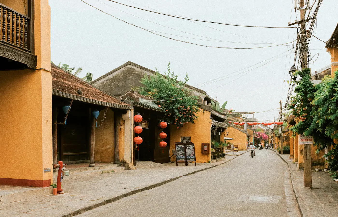 Leafy street and old-town buildings in Hoi An, Vietnam